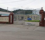 �|ݸ��̎��